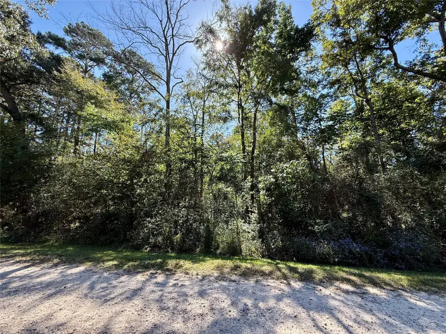 N/a Lot 5 Golden Leaf, Livingston, TX 77351 - #2