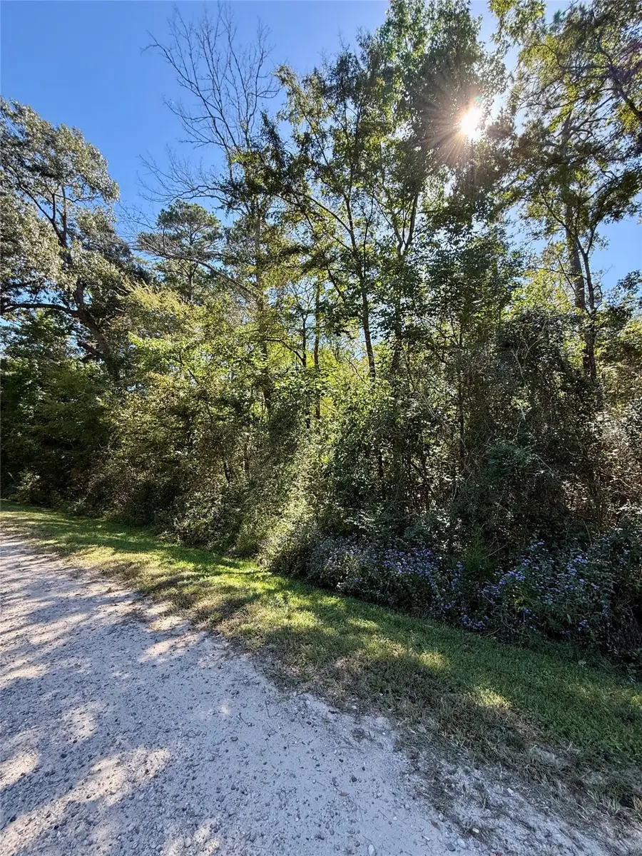 N/a Lot 5 Golden Leaf, Livingston, TX 77351 - #3