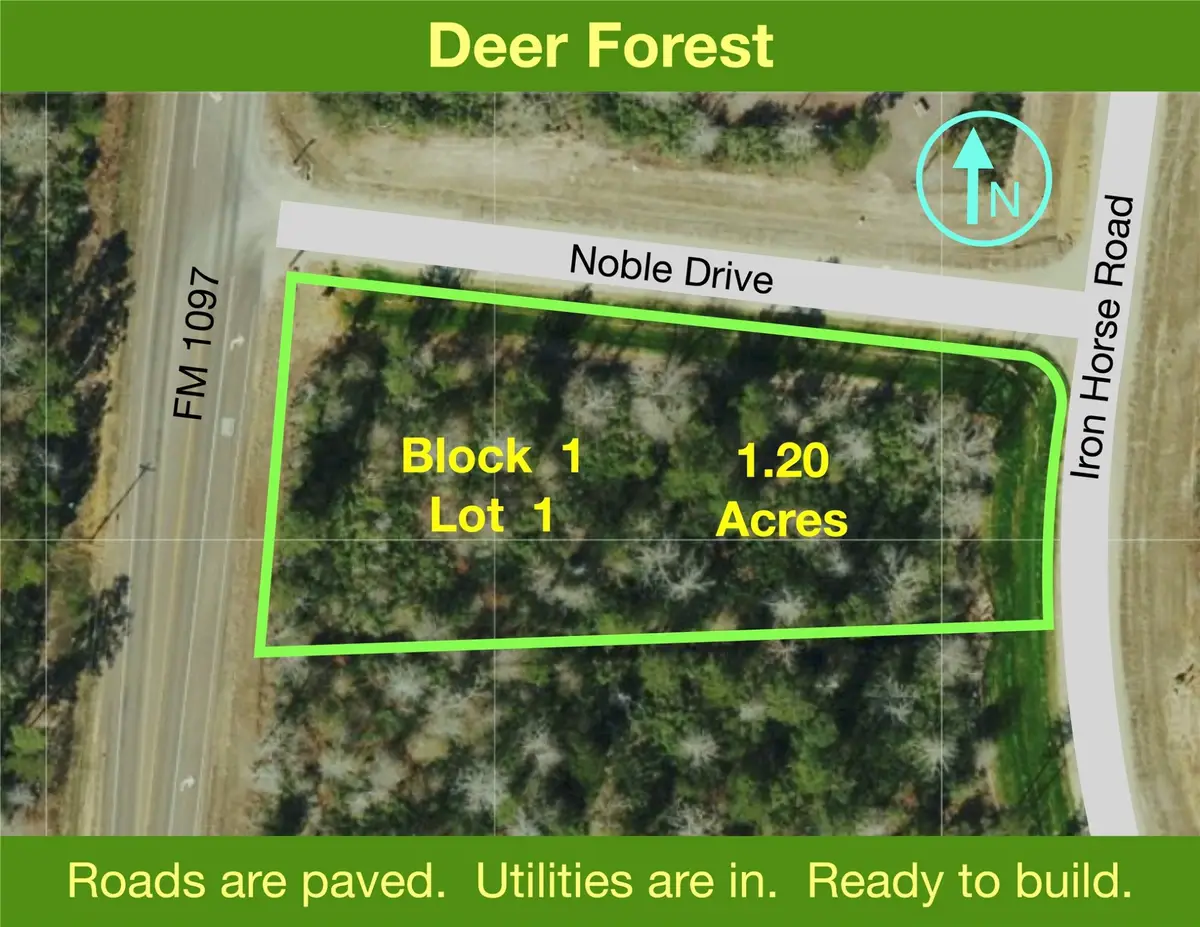 109 Noble Drive, New Waverly, TX 77358 - Image #1