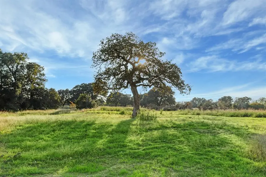 524 Hackemack Road, Round Top, TX 78954 - #2