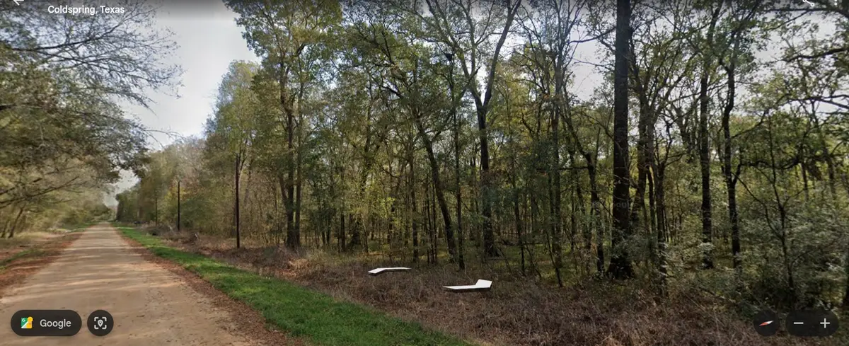 TBD Neumann Street, Coldspring, TX 77331 - Image #1