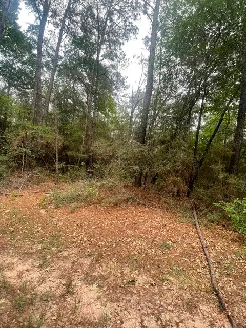 16862 Big Brave Circle, Waller, TX 77445 - #1
