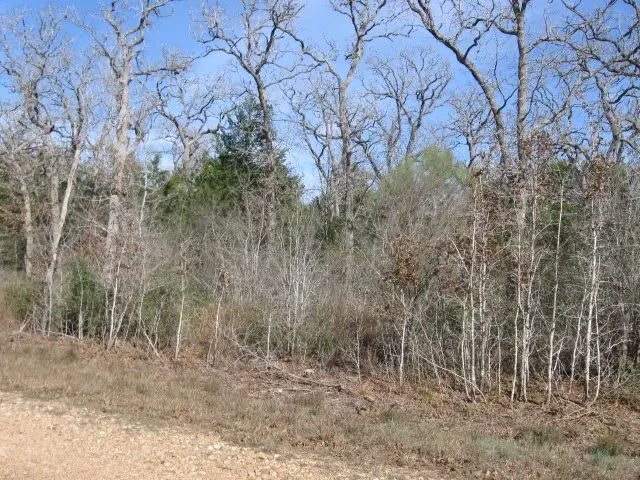 100 Rainbow Circle, Somerville, TX 77879 - #1