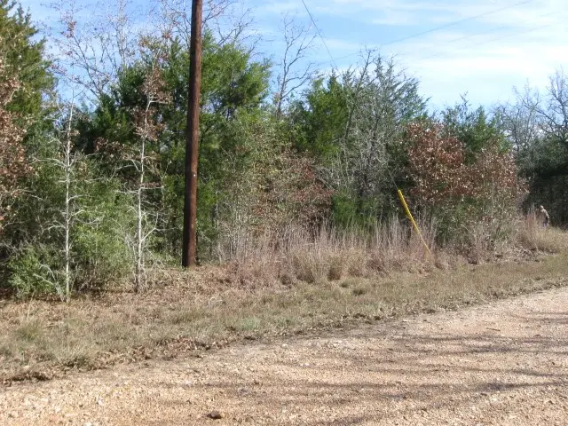 100 Rainbow Circle, Somerville, TX 77879 - #3