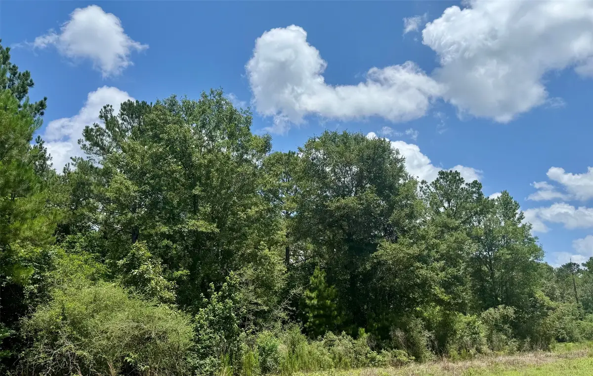 TBD Riverstone Drive, Livingston, TX 77351 - #1