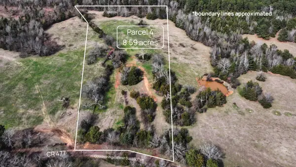 TBD #4 County Road 477, Henderson, TX 75654