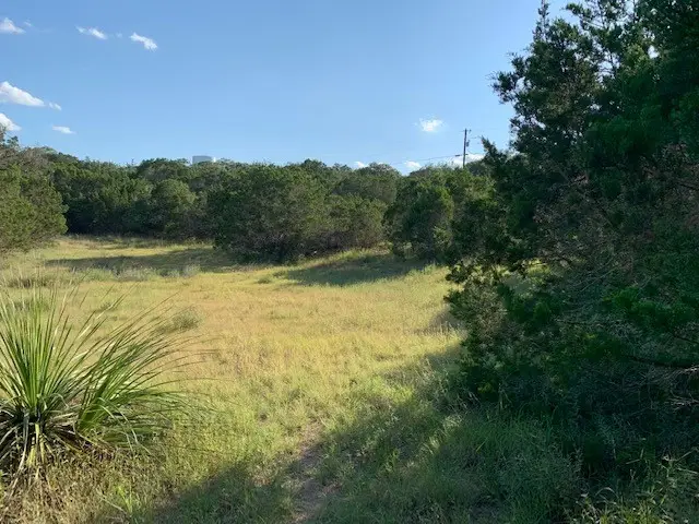 608 Gallagher Drive, Canyon Lake, TX 78133 - Image #3