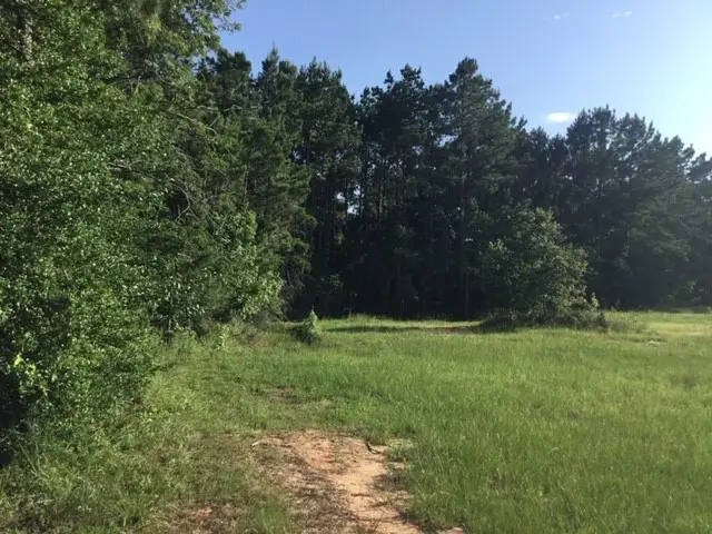 000 Navaho Trail, Onalaska, TX 77360 - Image #1