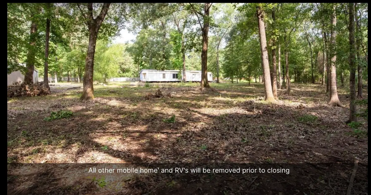 540 Oak Forest Drive, Shepherd, TX 77371 - #1