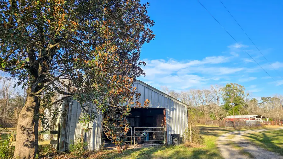 24995 Howser Drive, New Caney, TX 77357 - #2