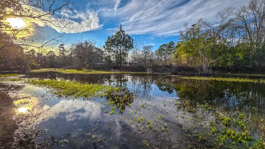 24995 Howser Drive, New Caney, TX 77357 - #3