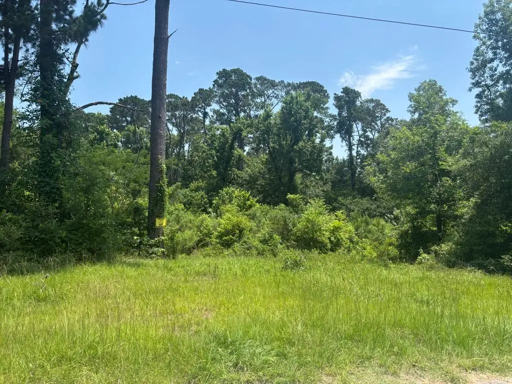 TBD Sam Houston Loop, Point Blank, TX 77364 - Image #1