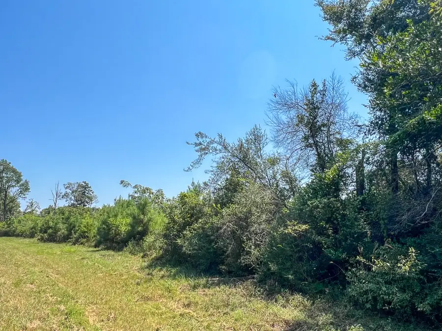 01234 Highway 146, Livingston Onalaska, TX 77351 - #3