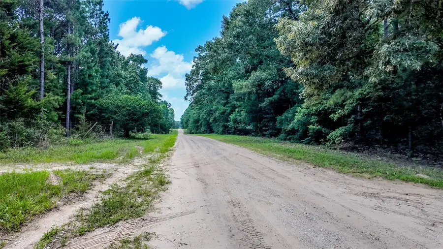 127 Buckthorn Acres Drive, Huntsville, TX 77340 - #2