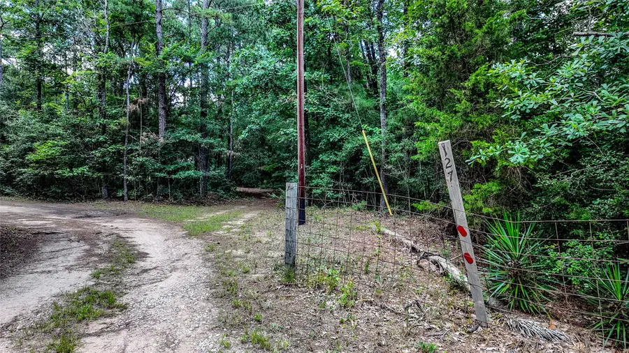 127 Buckthorn Acres Drive, Huntsville, TX 77340 - #3