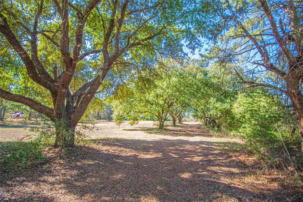 2764 Richardson Road E, Livingston, TX 77351 - #1