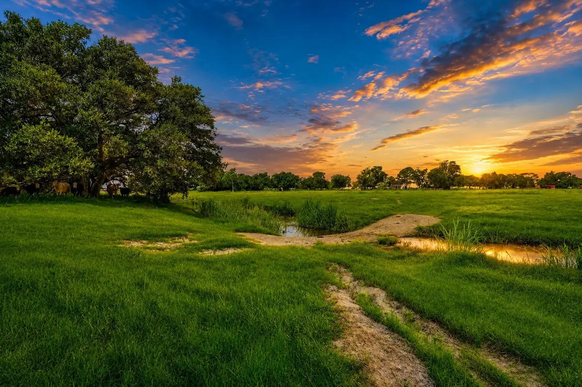 1613 Fm-2078, Wadsworth, TX 77483 - #1