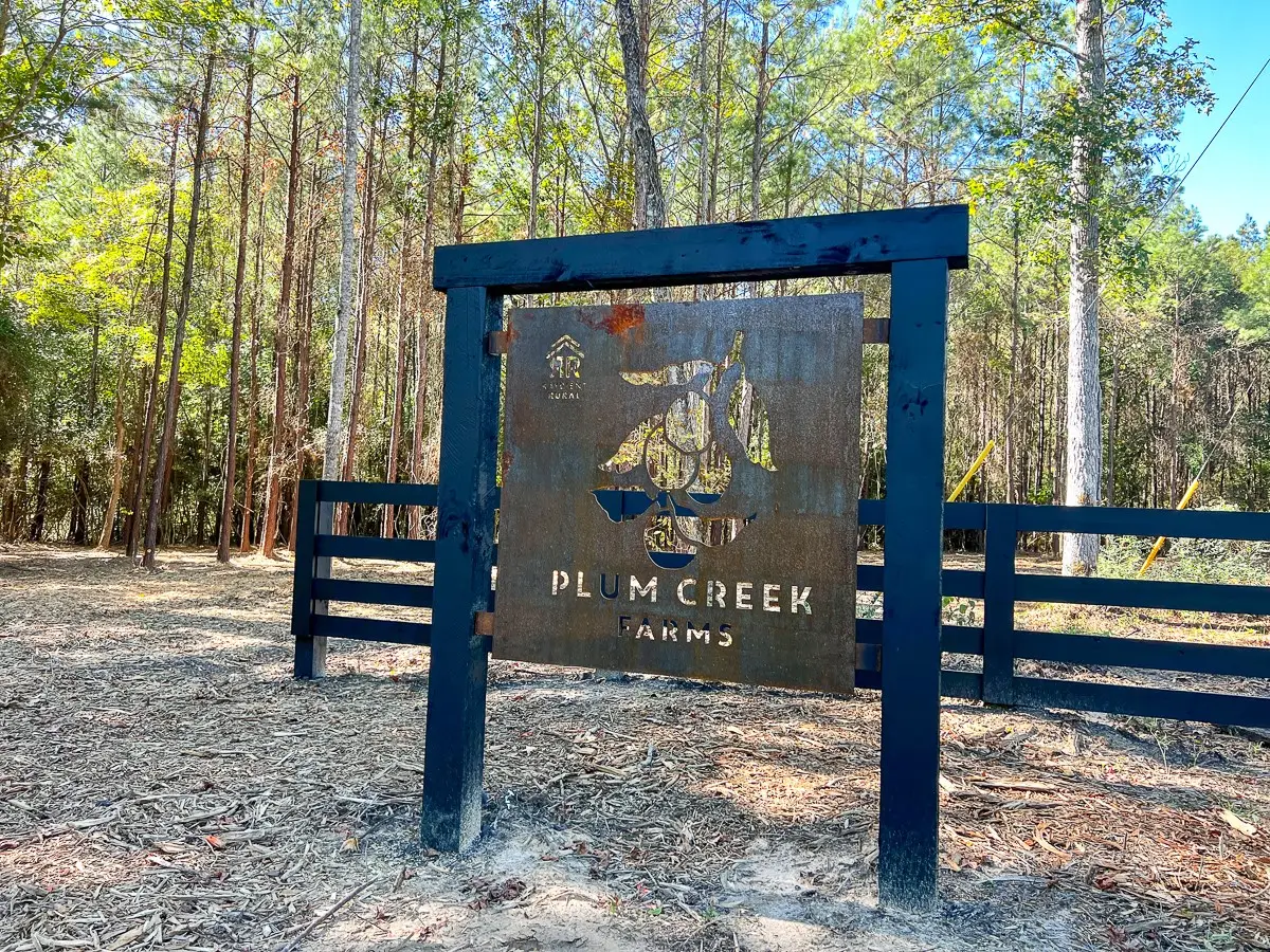 2 Fm 350, Livingston, TX 77351 - #1