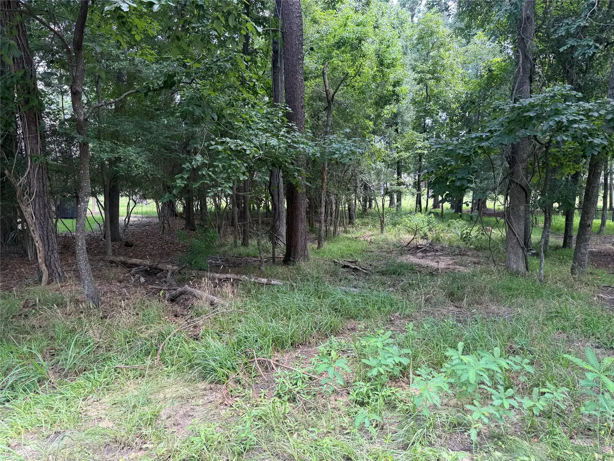 219 Brook Hollow Drive, Huntsville, TX 77340 - #1
