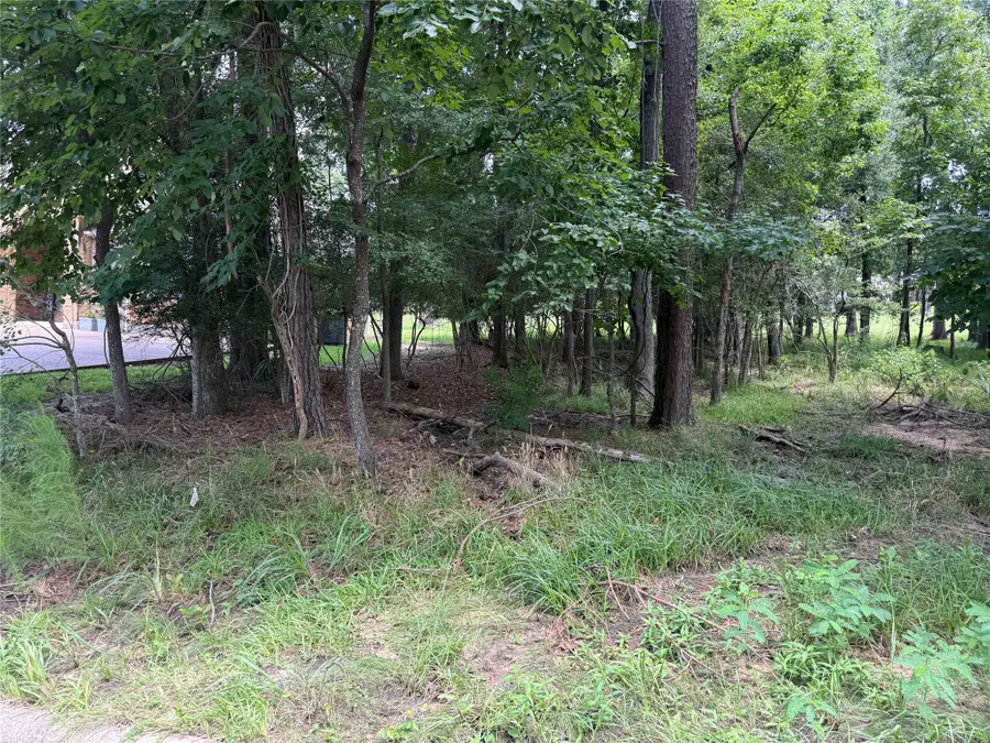 219 Brook Hollow Drive, Huntsville, TX 77340 - #2