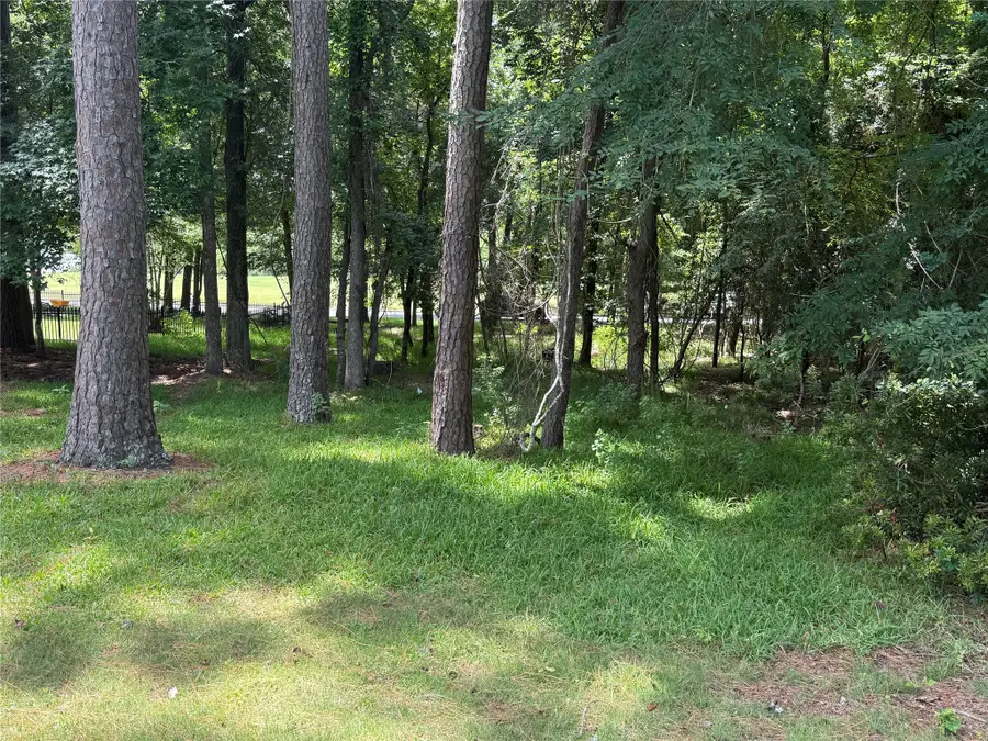 219 Brook Hollow Drive, Huntsville, TX 77340 - #3