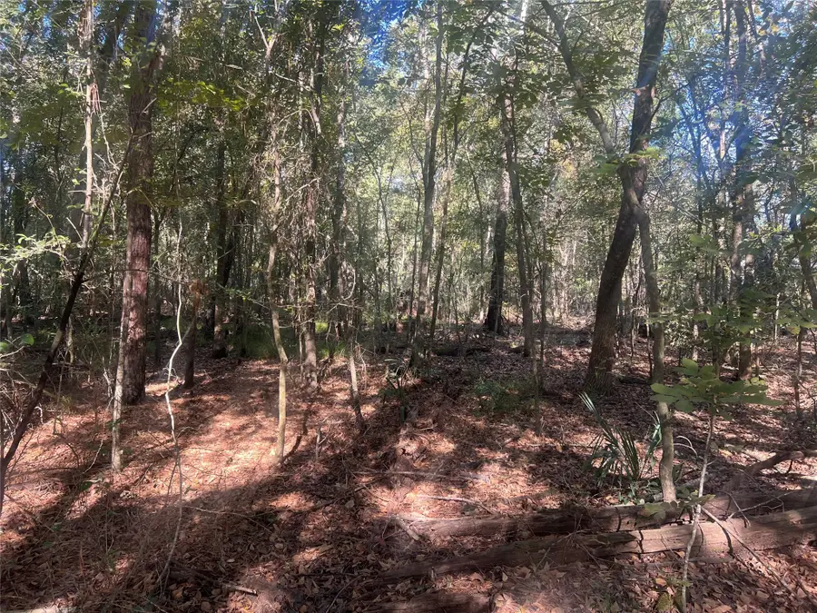 TBD Arrowhead Trail, Livingston, TX 77351 - Image #3