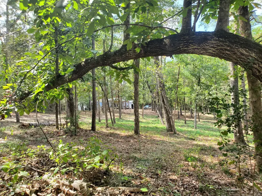 331 County Road 3240, Colmesneil, TX 75938 - Image #3