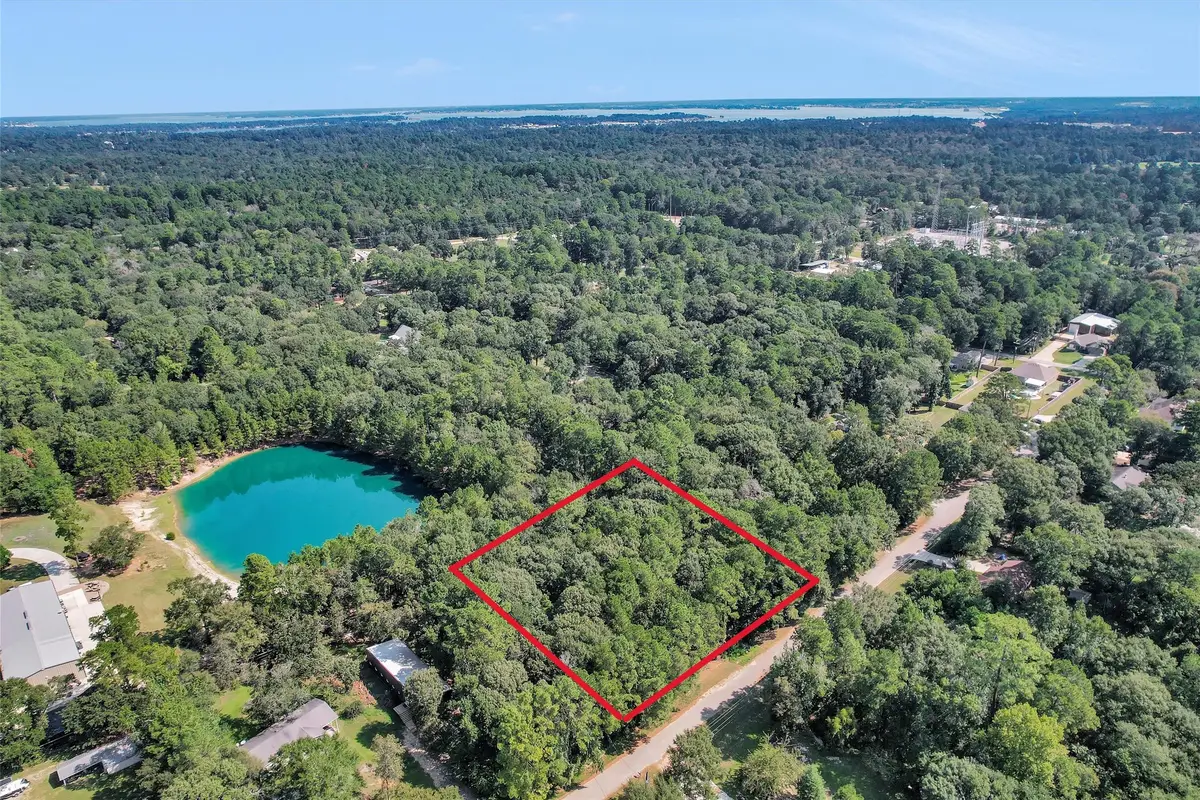 Lot 20 and 21 Holly Lane S, Montgomery, TX 77316 - #1