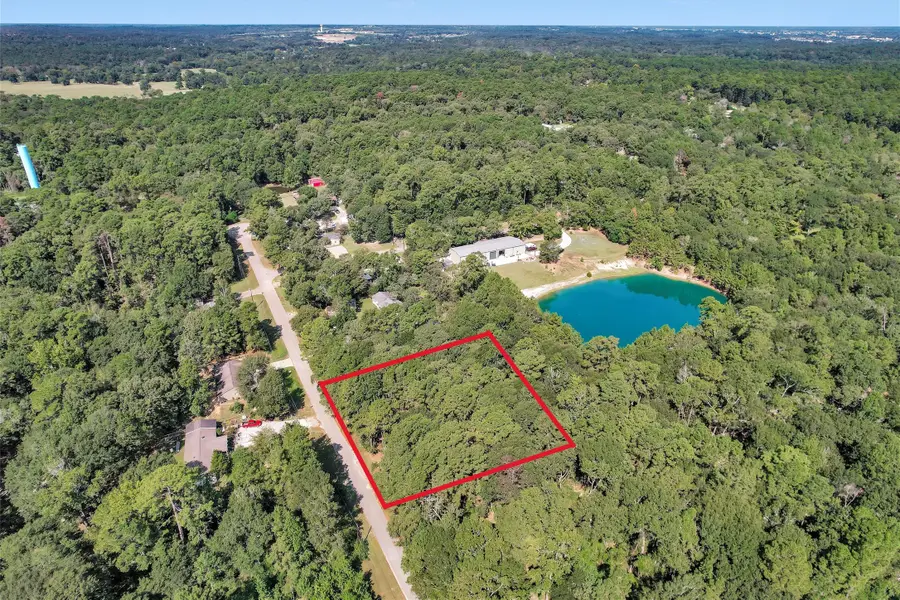 Lot 20 and 21 Holly Lane S, Montgomery, TX 77316 - #2