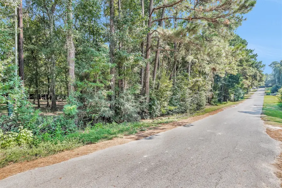 Lot 20 and 21 Holly Lane S, Montgomery, TX 77316 - #3