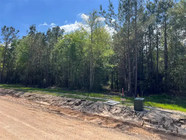 TBD Ellwood Dr, Livingston, TX 77351
