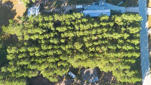 87 Road 5007, Cleveland, TX 77327