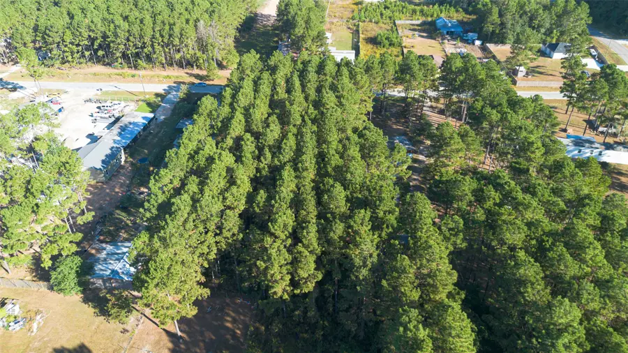 87 Road 5007, Cleveland, TX 77327 - Image #3