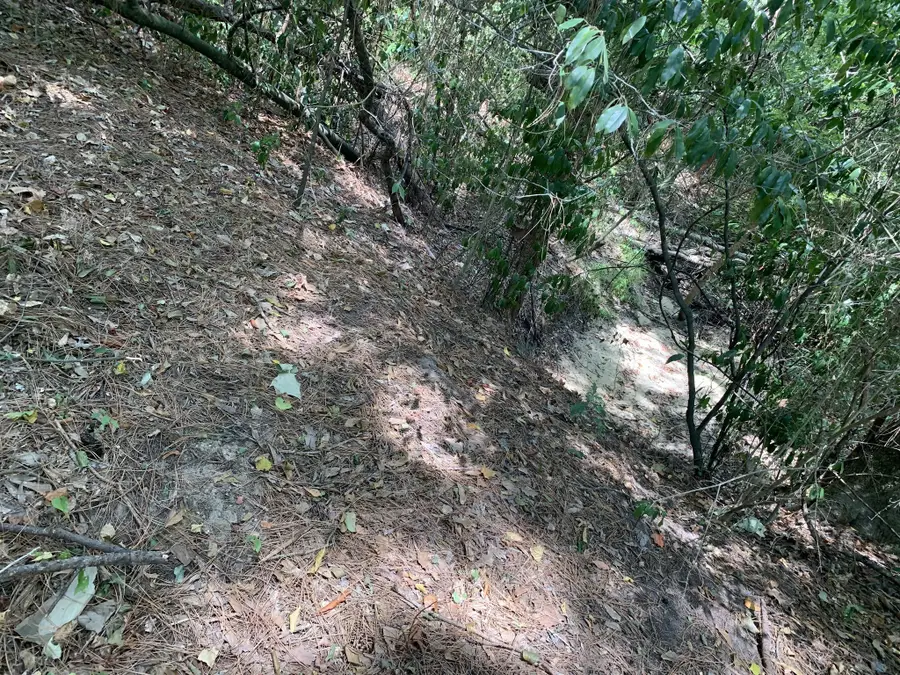 504 John Kolb Road, Lufkin, TX 75901 - Image #3