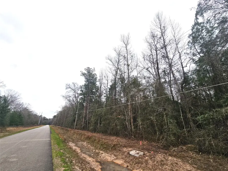 TBD Rolling Hills Dr, Porter, TX 77365 - Image #3