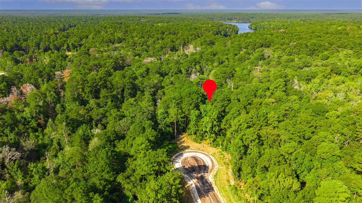 101 Longfellow Road, New Waverly, TX 77358 - #1