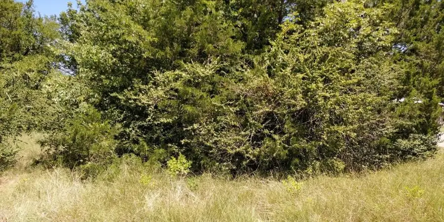 Lots 632 & 633 Shoshone Drive, Gordonville, TX 76245 - Image #3