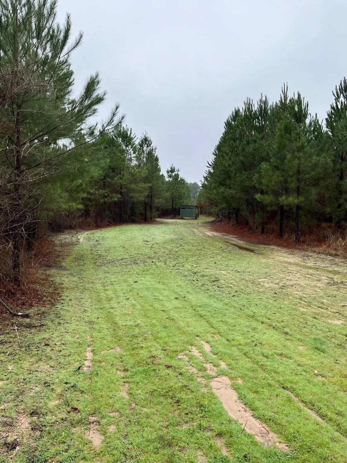 Buck Bay Private Rd Off Fm1751, Bronson, TX 75930 - Image #1