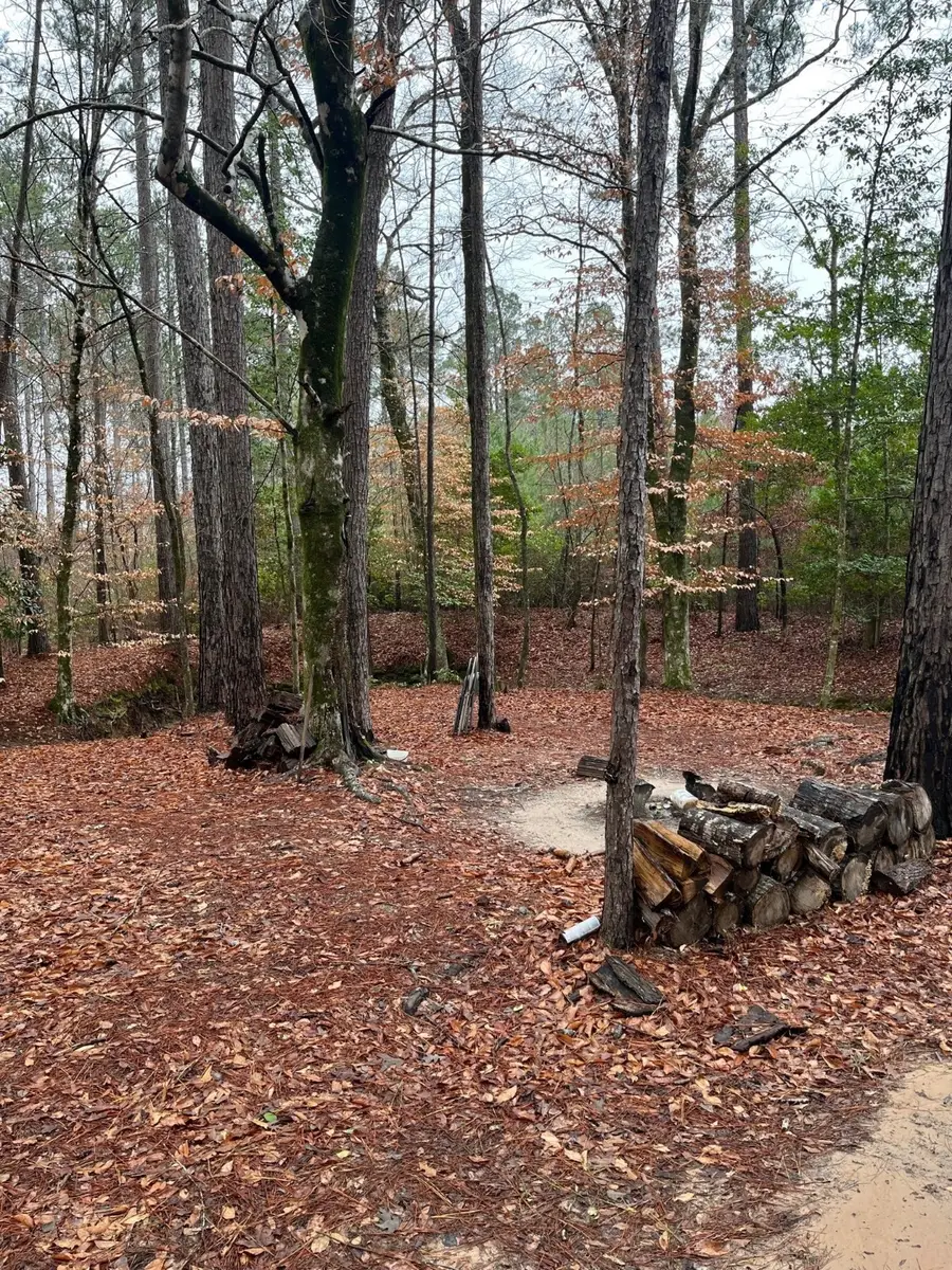 Buck Bay Private Rd Off Fm1751, Bronson, TX 75930 - Image #2