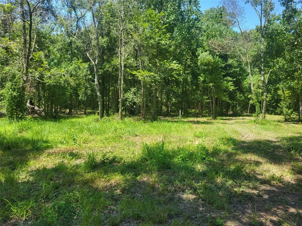 TBA Elmore Lp, Shepherd, TX 77371 - Image #1