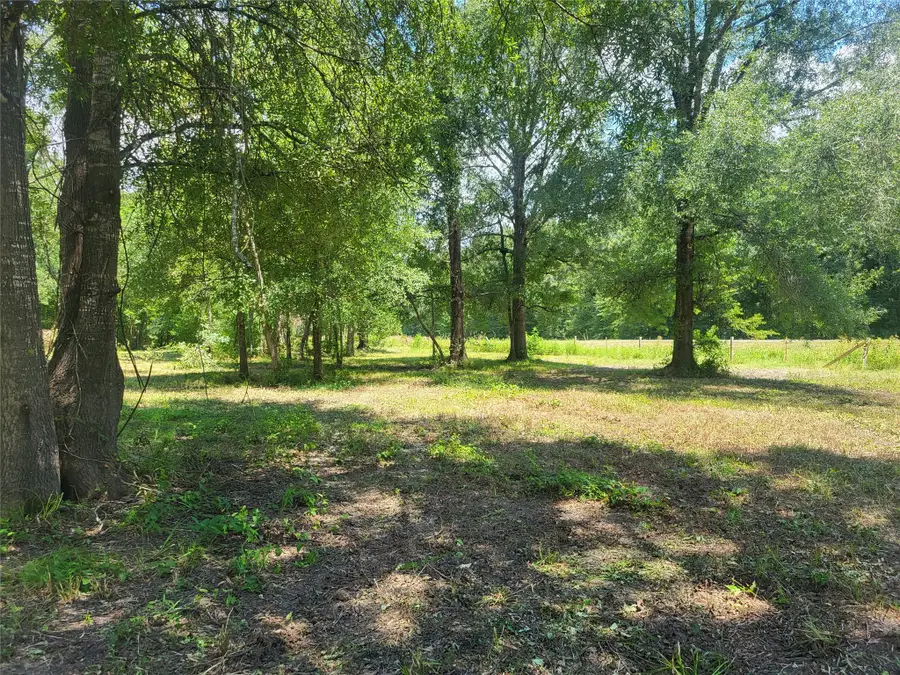 TBA Elmore Lp, Shepherd, TX 77371 - Image #2