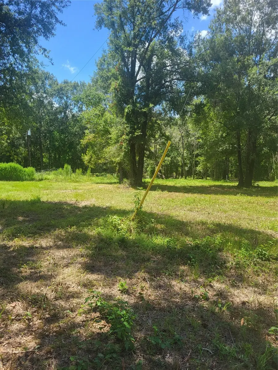 TBA Elmore Lp, Shepherd, TX 77371 - Image #3