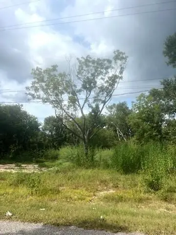 324 W Rockdale Street, Trinity, TX 75862 - #2
