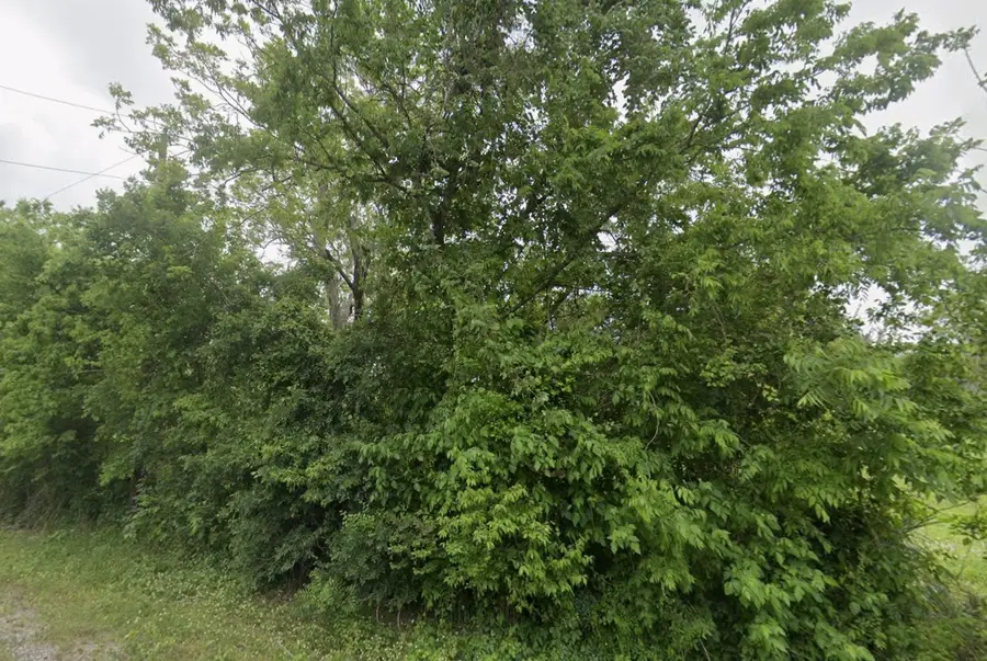 2941 - 13 County Road 352 Road, Brazoria, TX 77422 - #3