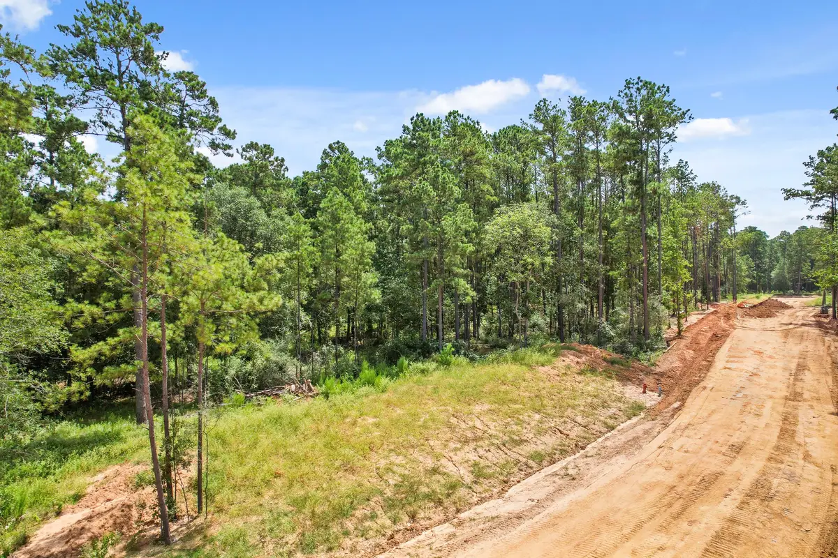 3653 Augusta Drive, Montgomery, TX 77316 - #1