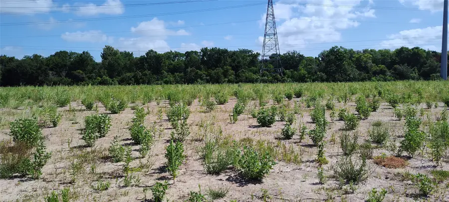 15406 Pinehurst Lane, Santa Fe, TX 77517 - Image #3