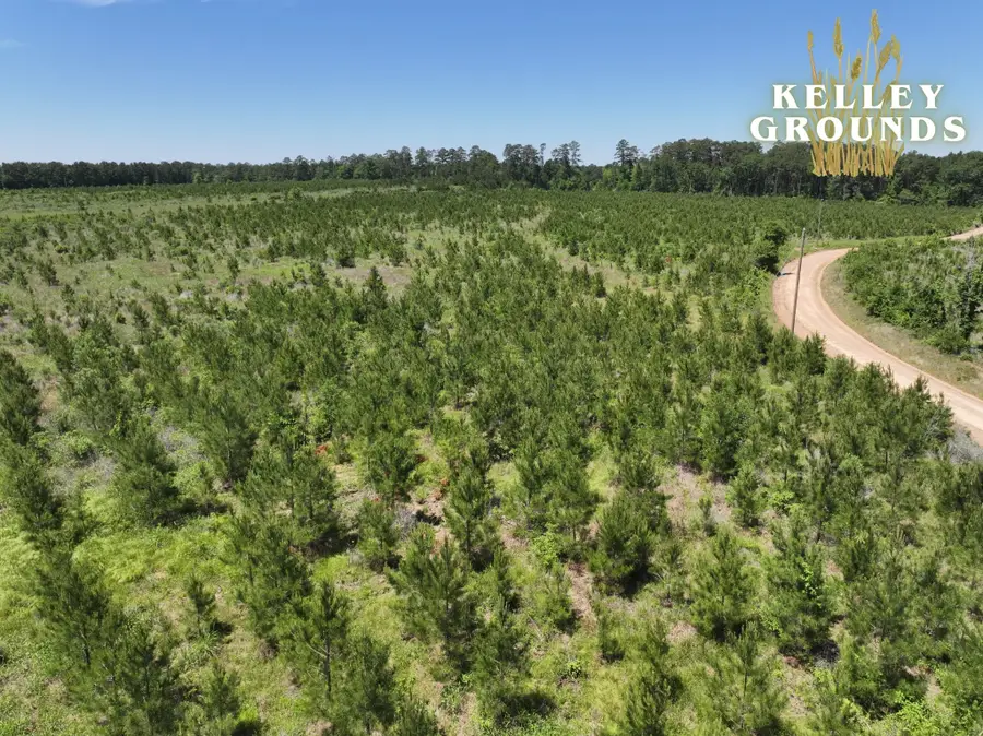 3-4 A Kelley Road, Livingston, TX 77351 - #2