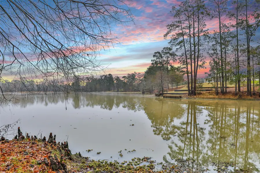 25734 Water Ridge Drive, Huffman, TX 77336 - Image #3