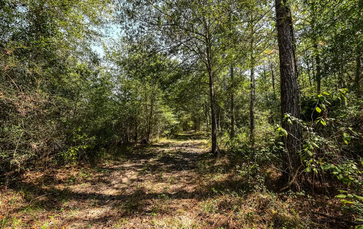 0 Hwy 105, Hull, TX 77564 - Image #1