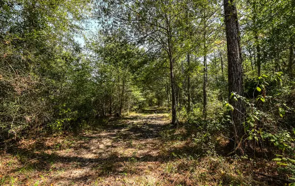 0 Hwy 105, Hull, TX 77564